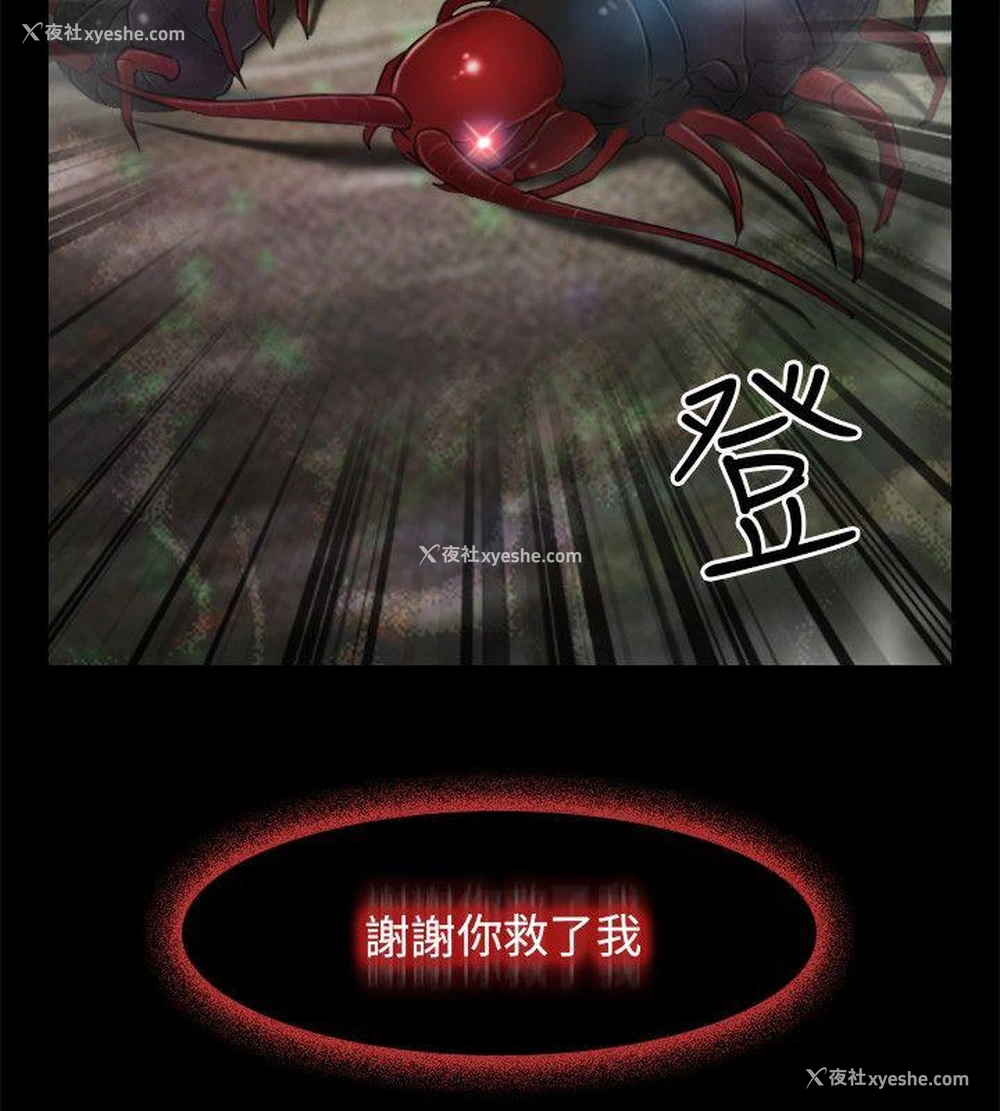 14P - 初恋物语