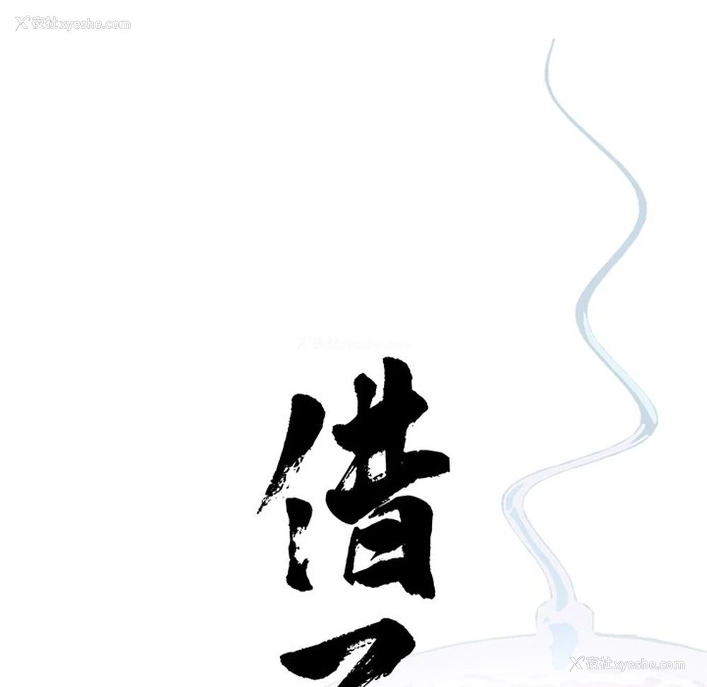 15P - 借子