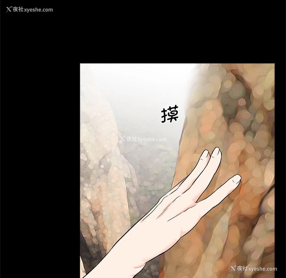 31P - 借子