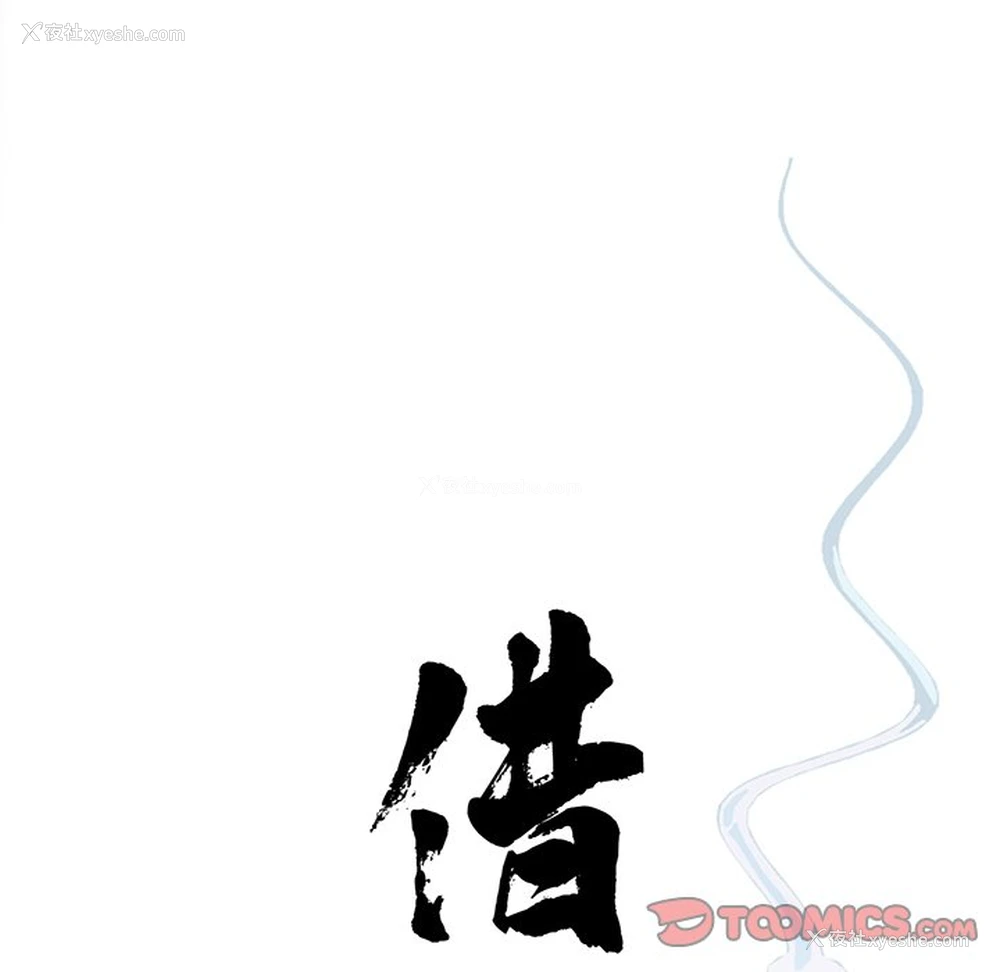 38P - 借子