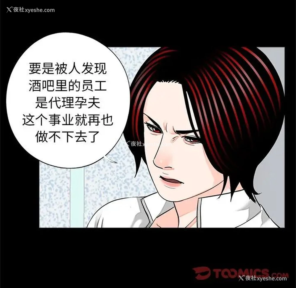 22P - 借子