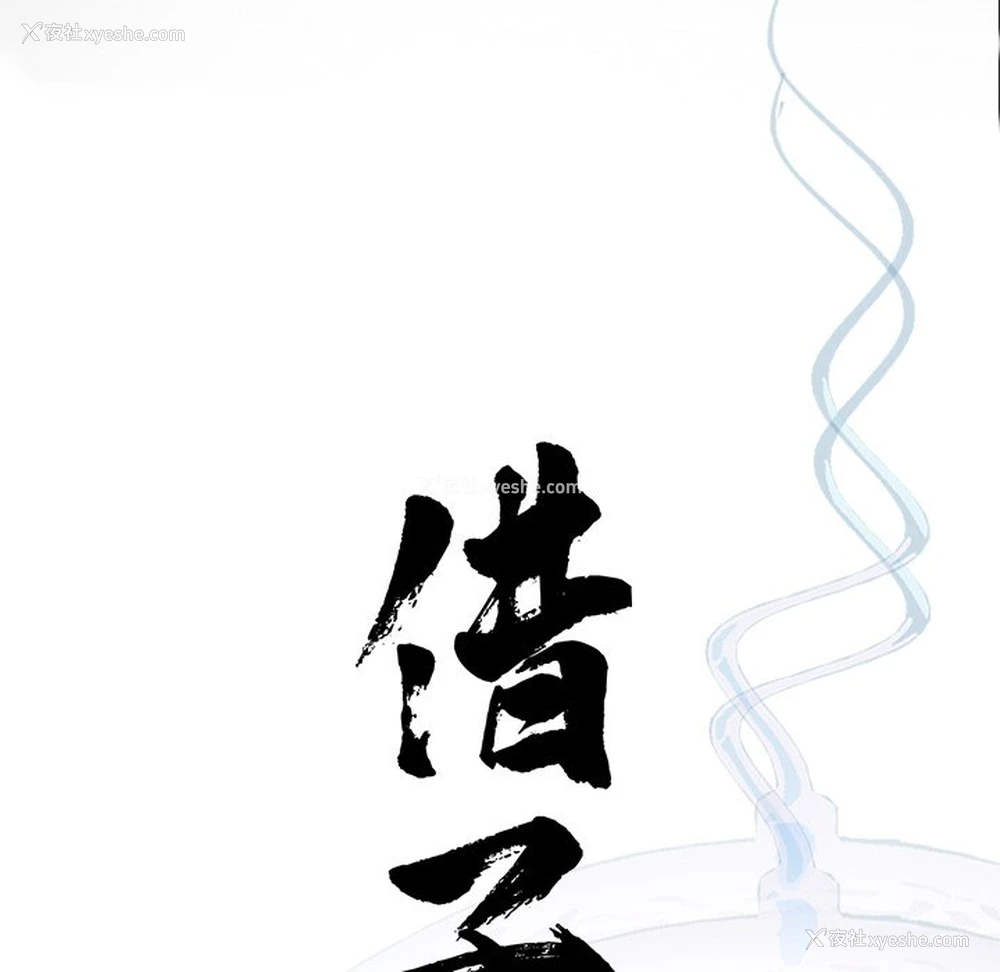 46P - 借子