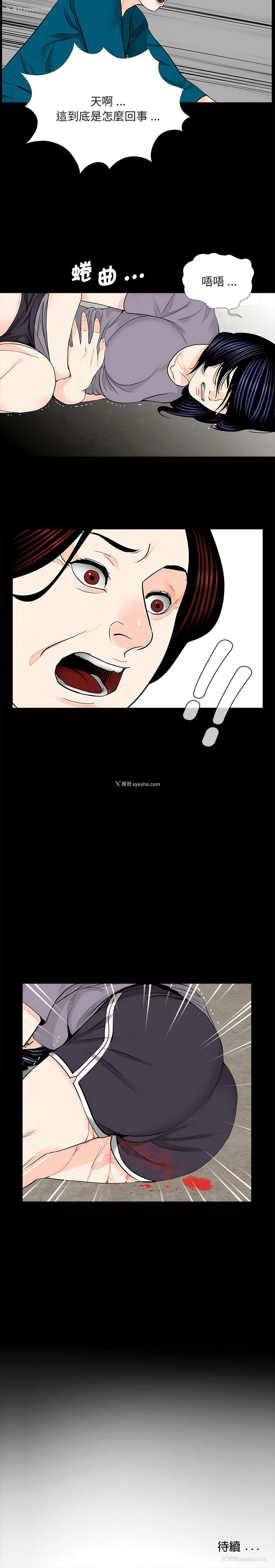 11P - 借子