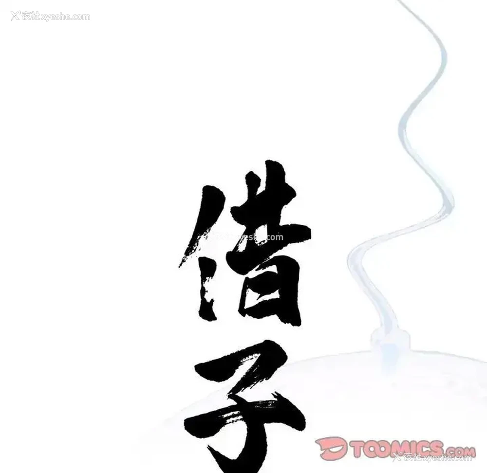 32P - 借子