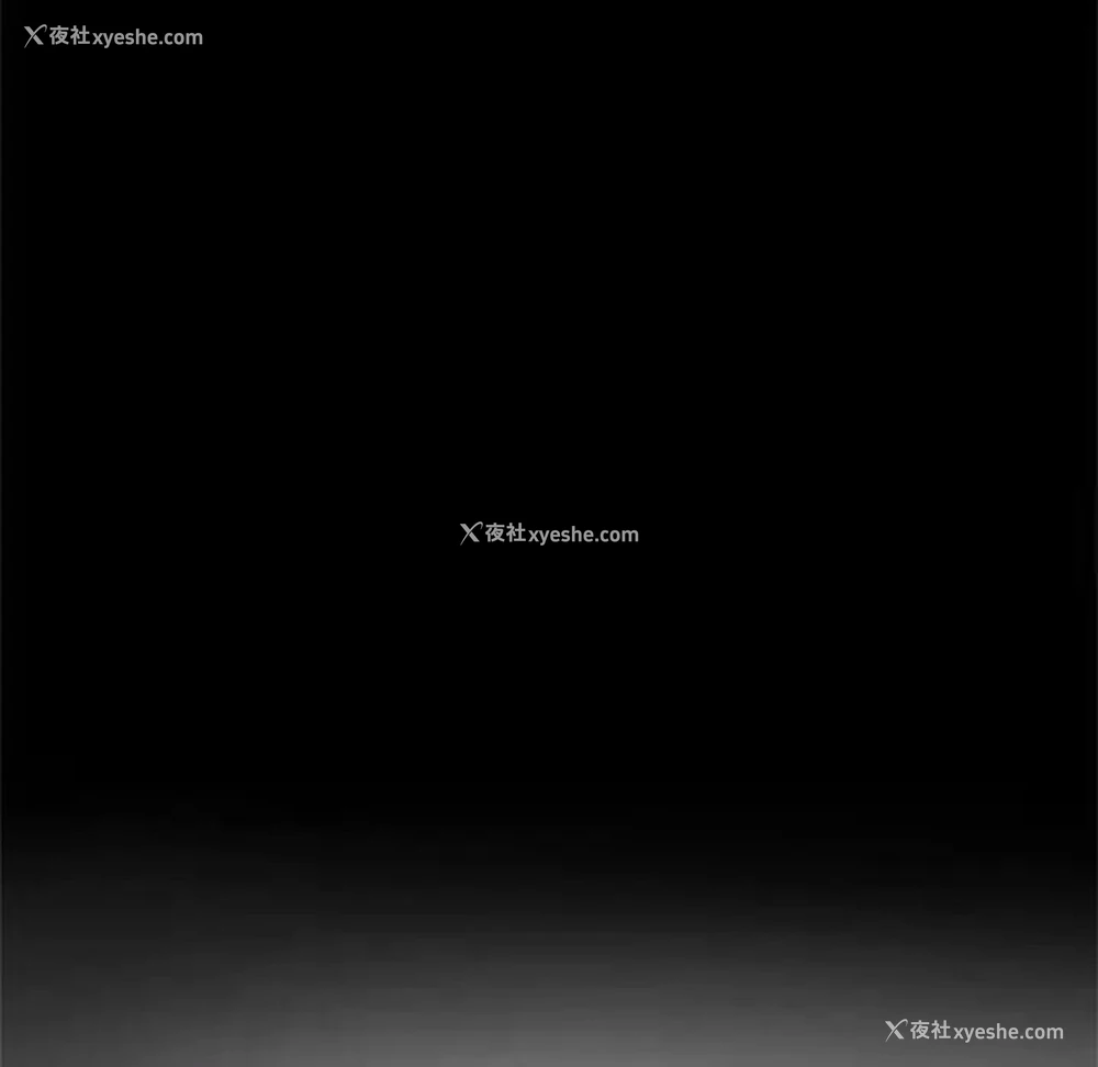 13P - 借子