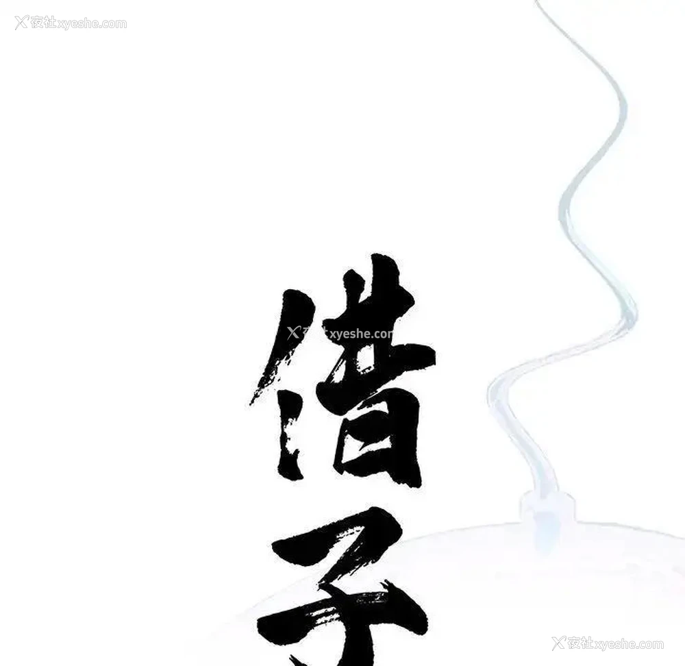 15P - 借子
