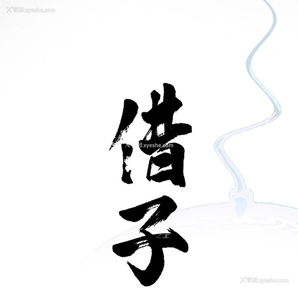 46P - 借子
