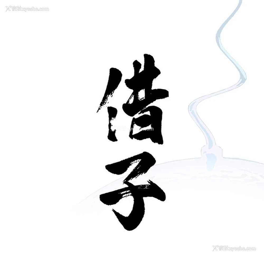 24P - 借子