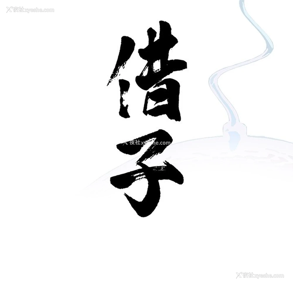 23P - 借子