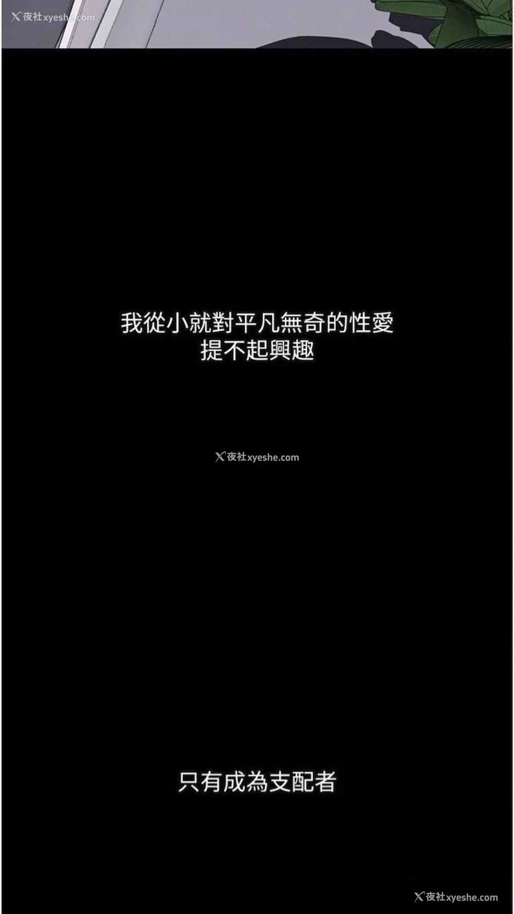 12P - 堕落物语