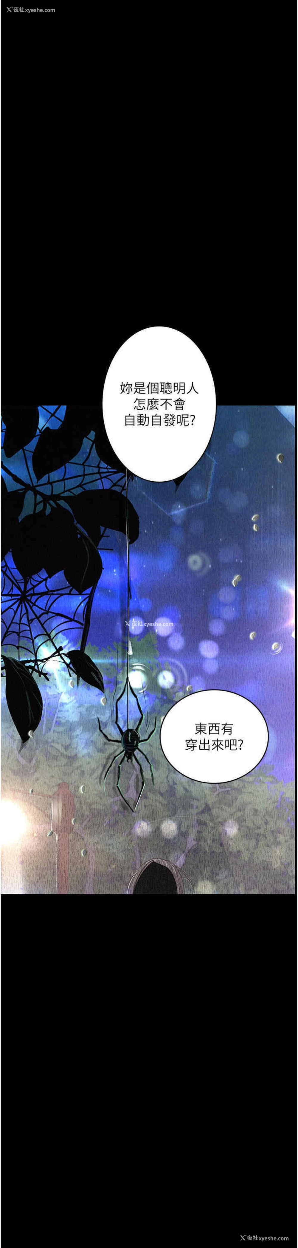 17P - 堕落物语