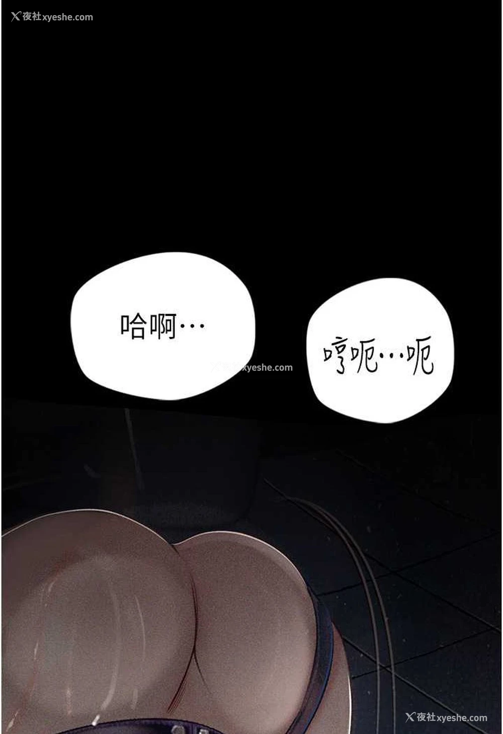 43P - 堕落物语