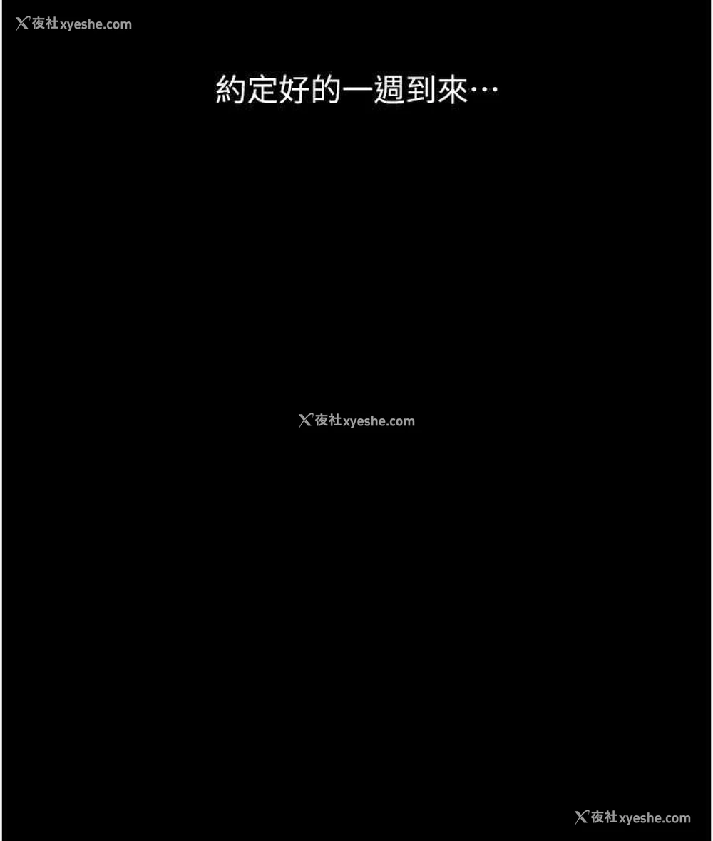 29P - 堕落物语