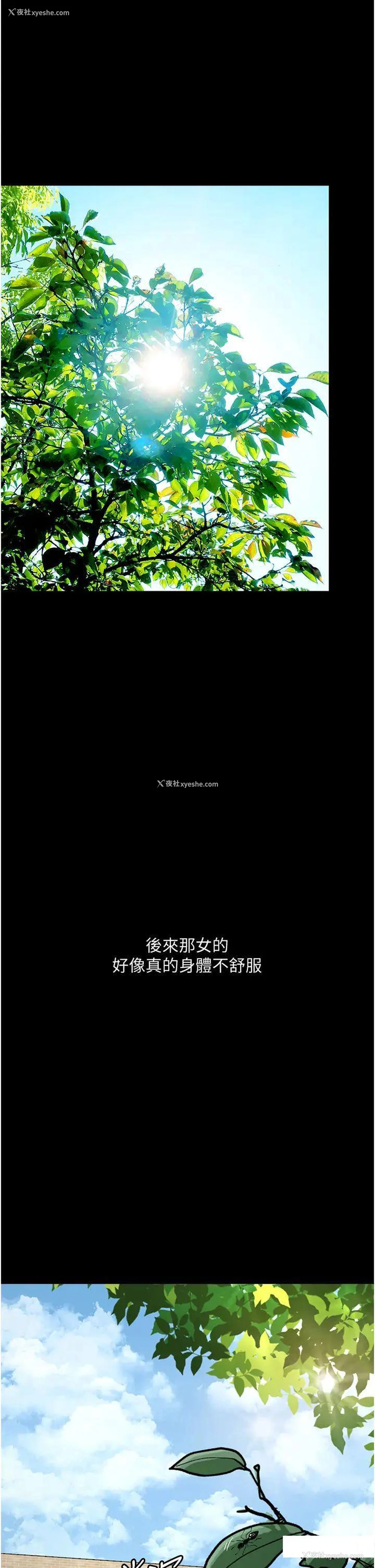 17P - 堕落物语