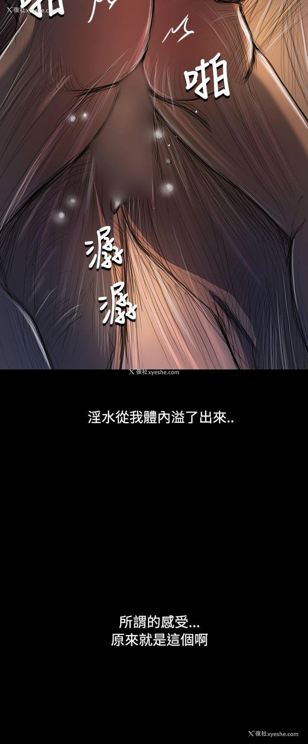 15P - 姊姊: 莲