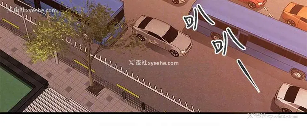 5P - 医美奇鸡