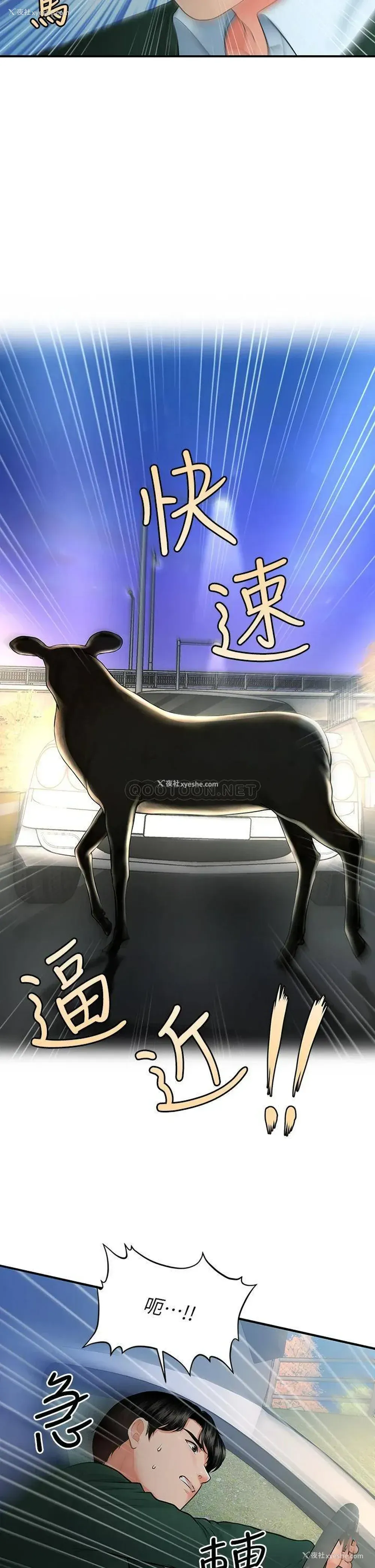 24P - 医美奇鸡
