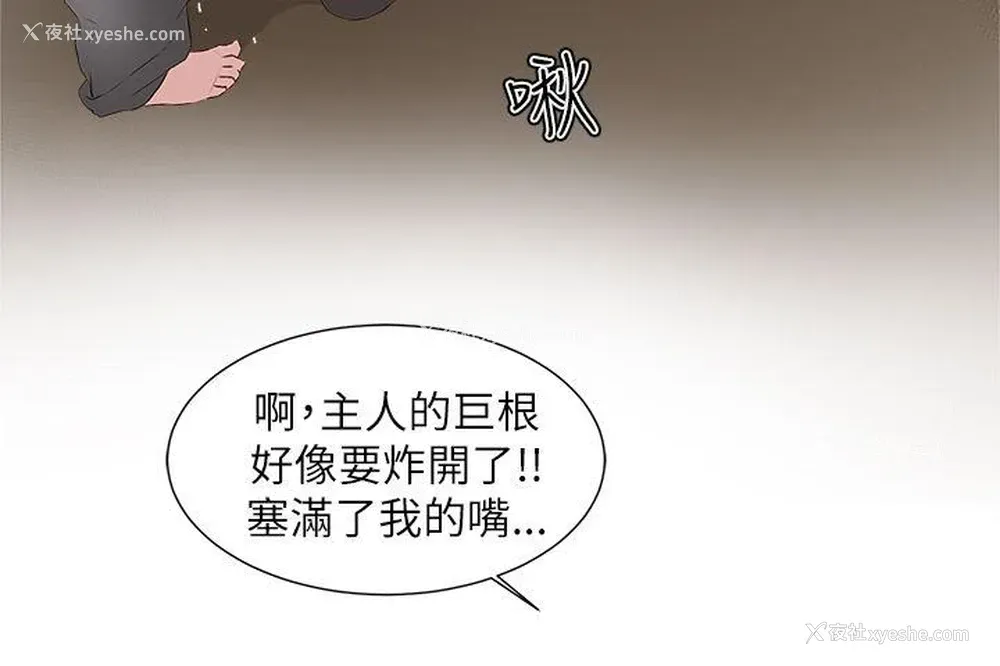 28P - 私生:爱到痴狂