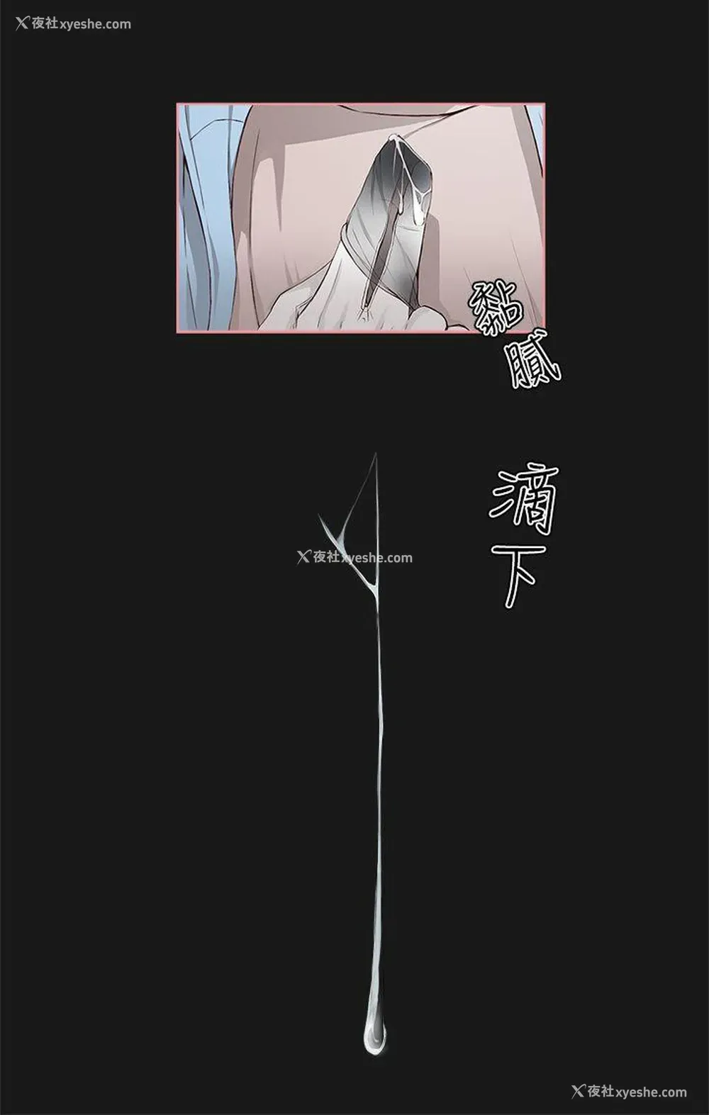 22P - 私生:爱到痴狂