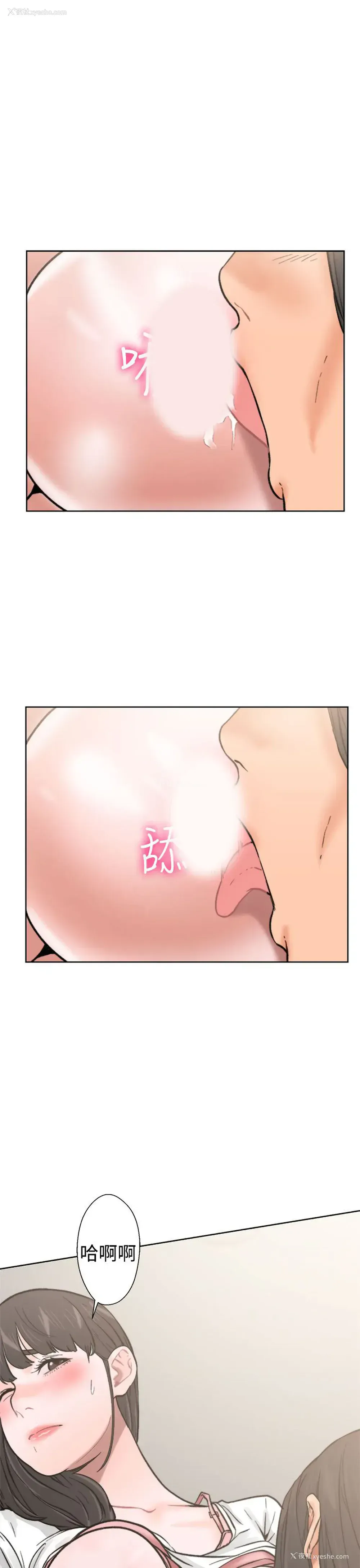 12P - 解禁