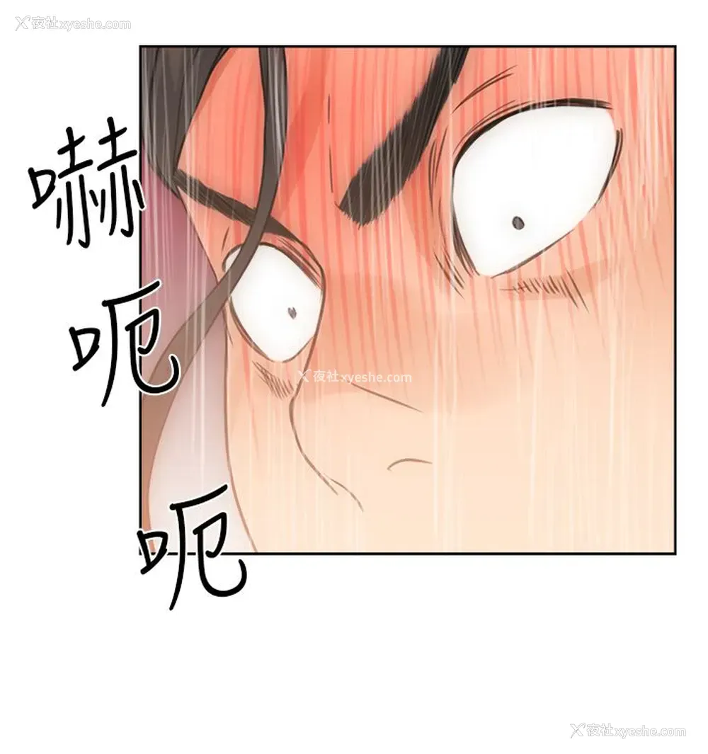 32P - 解禁