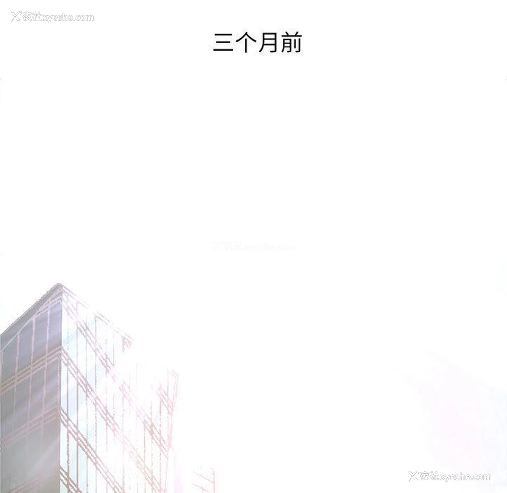 4P - 老婆至上