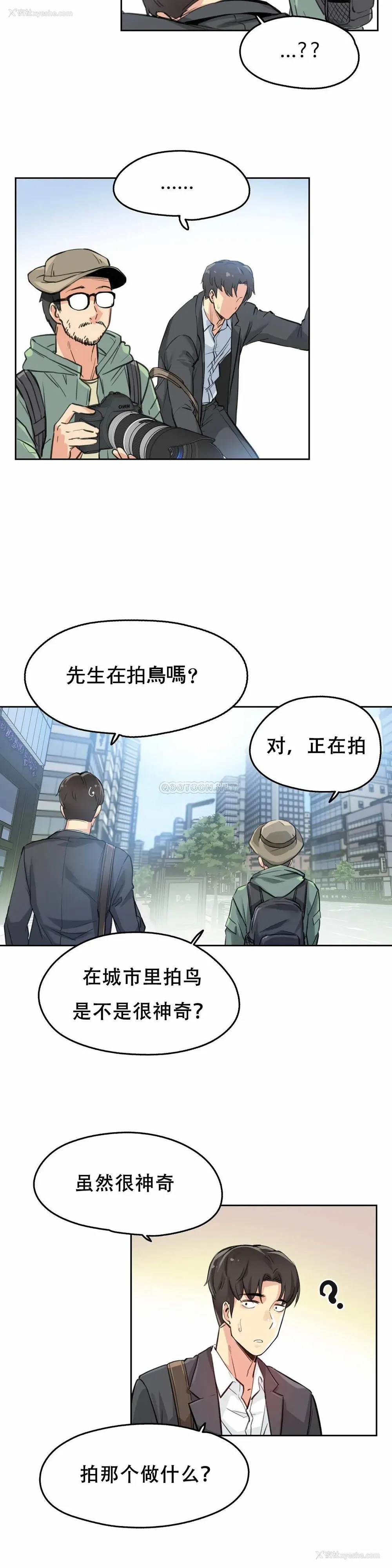 24P - 代理部
