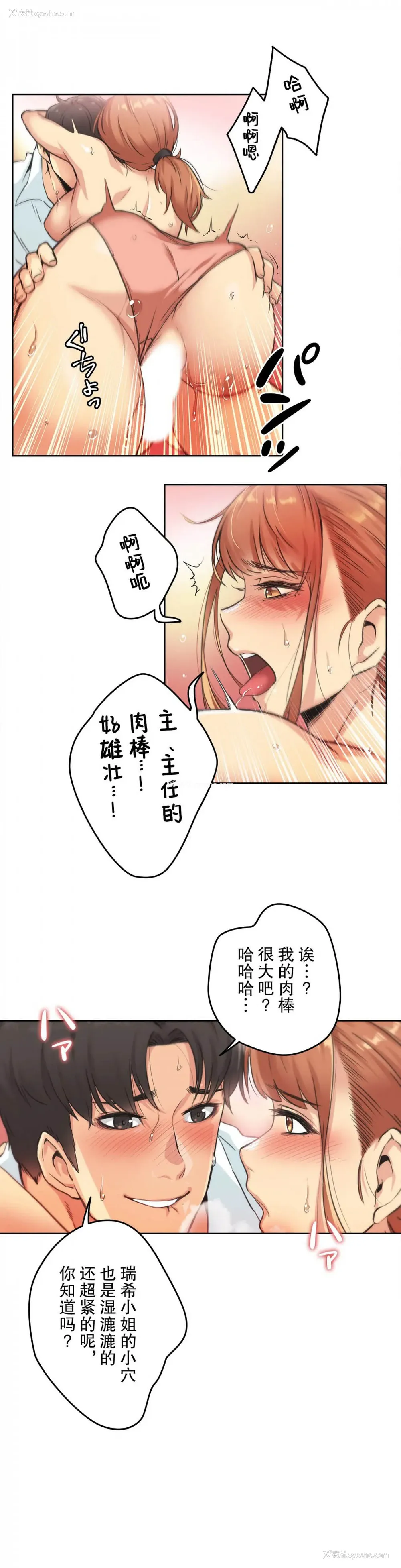 4P - 代理部
