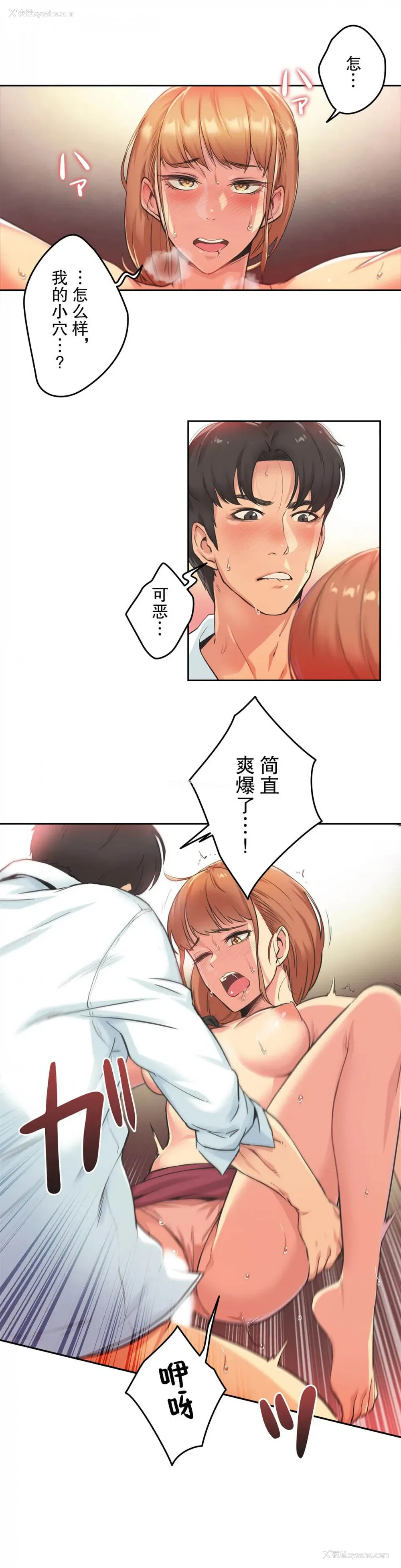 5P - 代理部