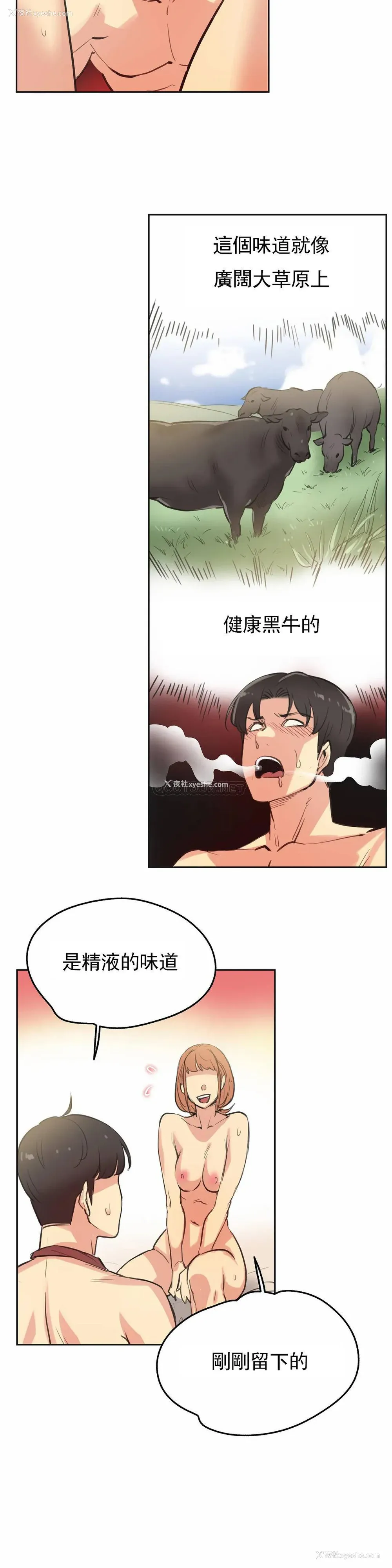 20P - 代理部