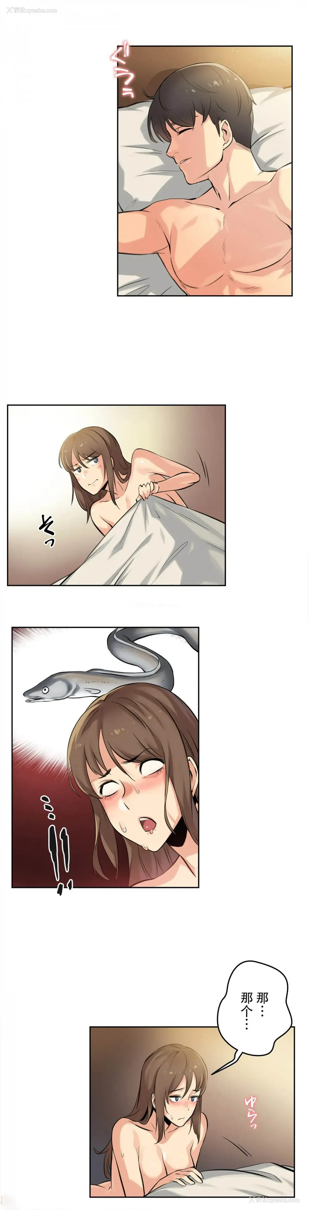 28P - 代理部