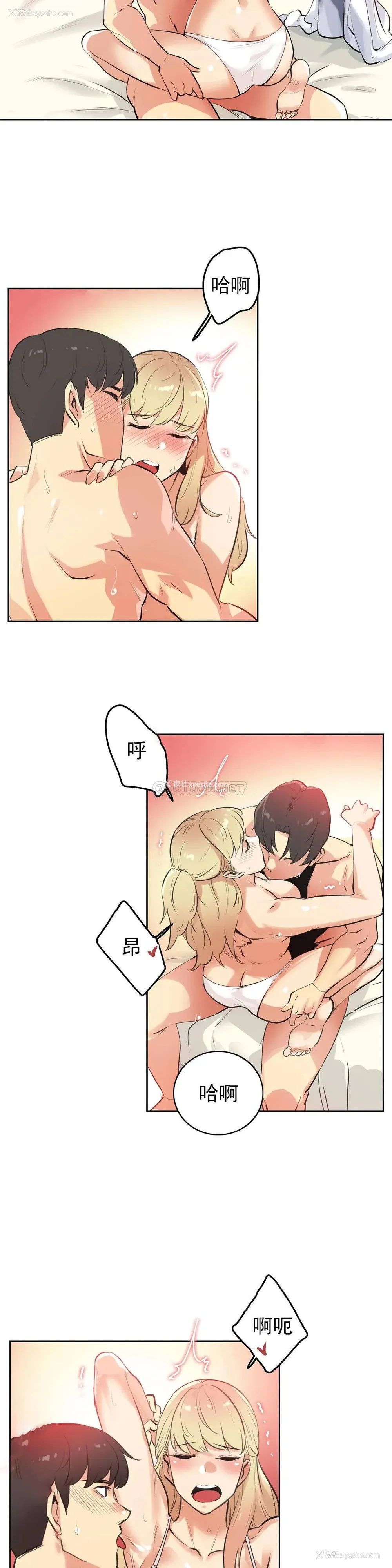 10P - 代理部