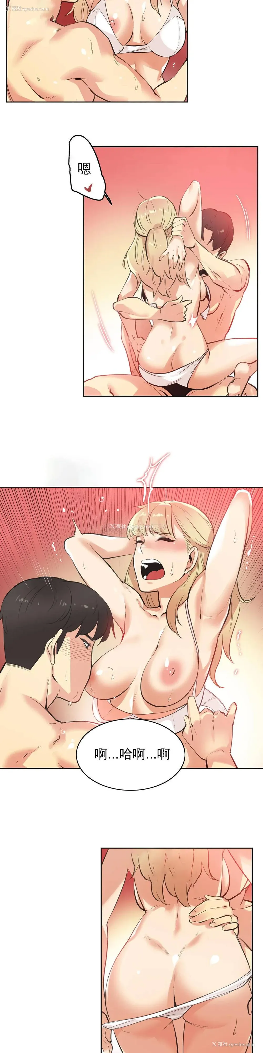 11P - 代理部