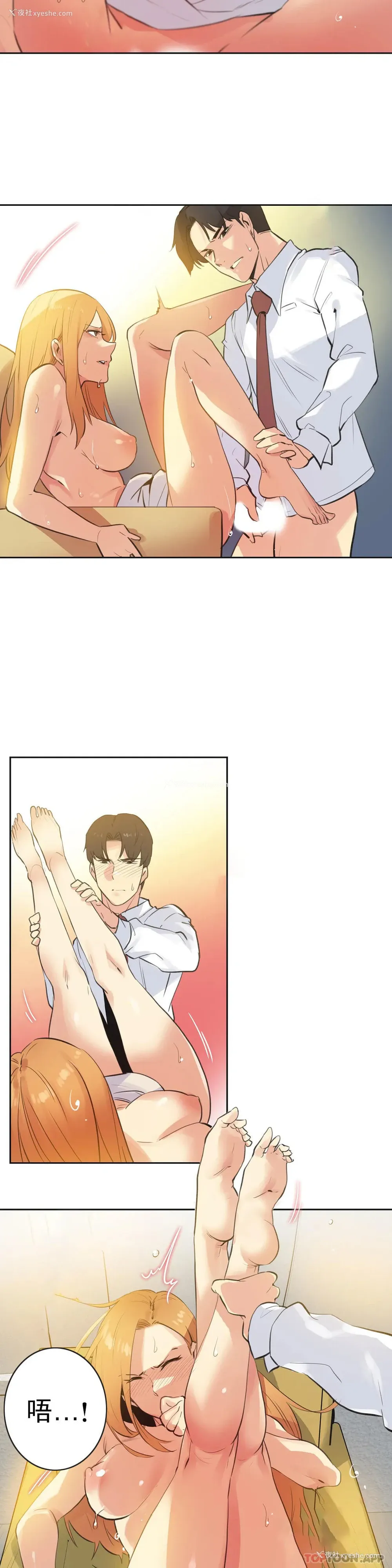 5P - 代理部