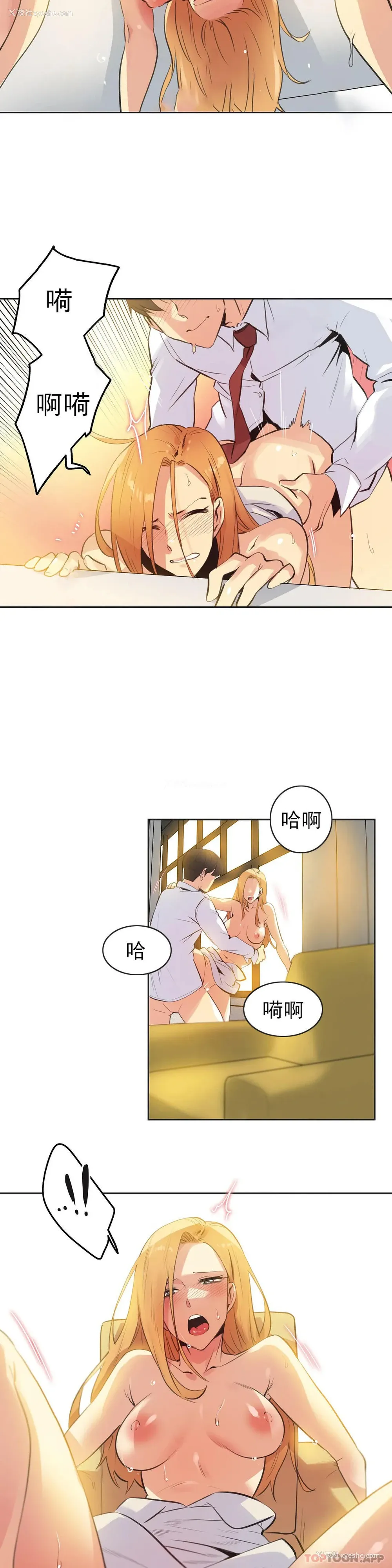 4P - 代理部