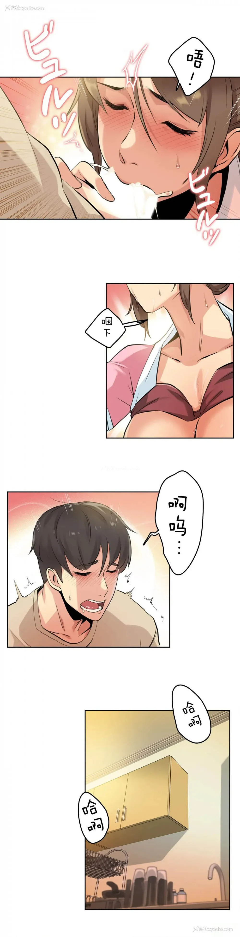 12P - 代理部