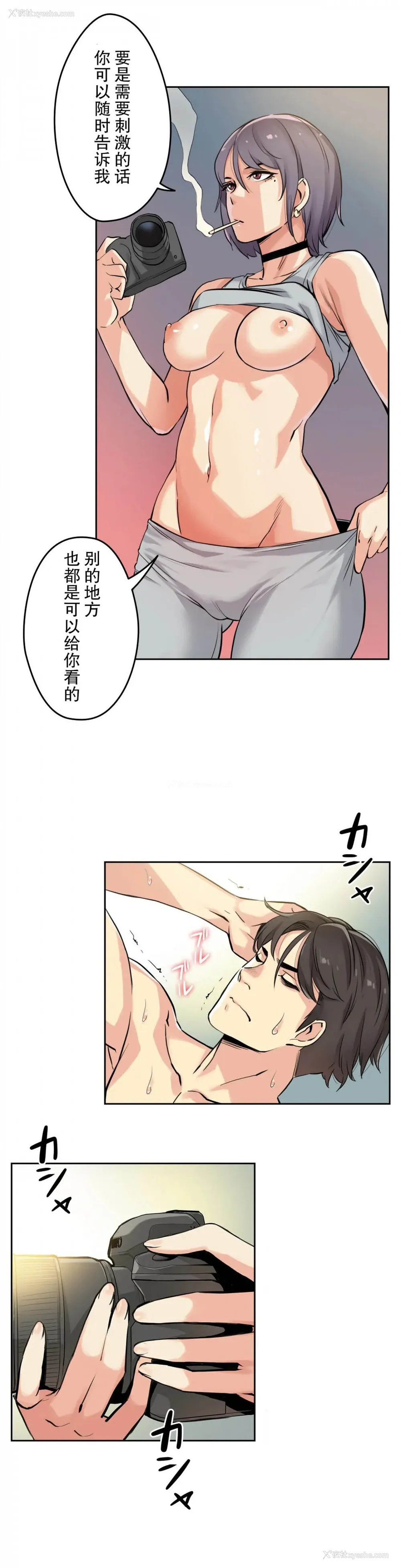 17P - 代理部
