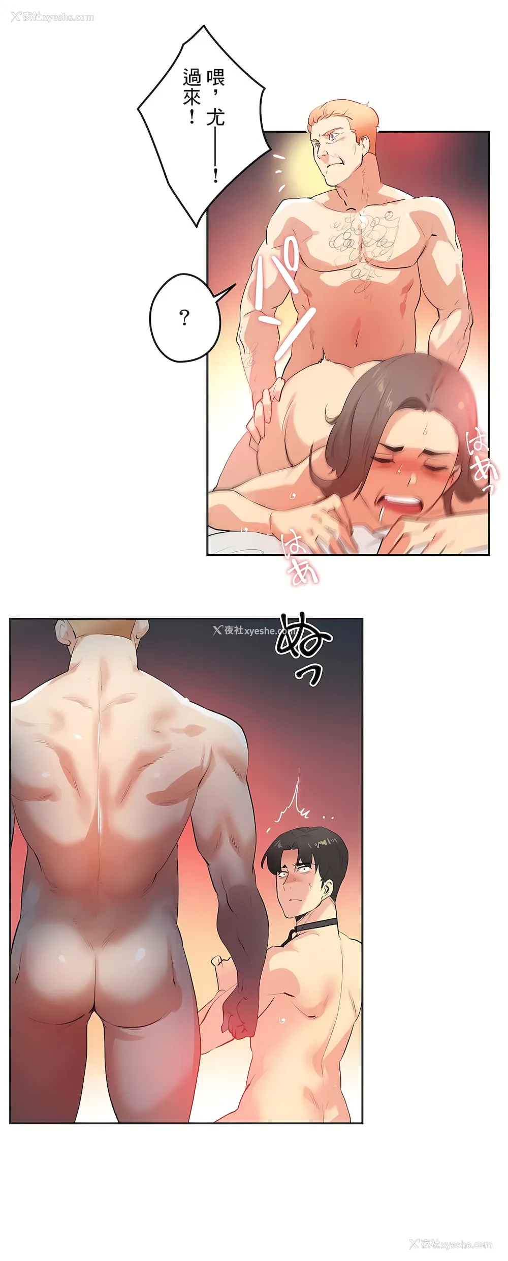 7P - 代理部
