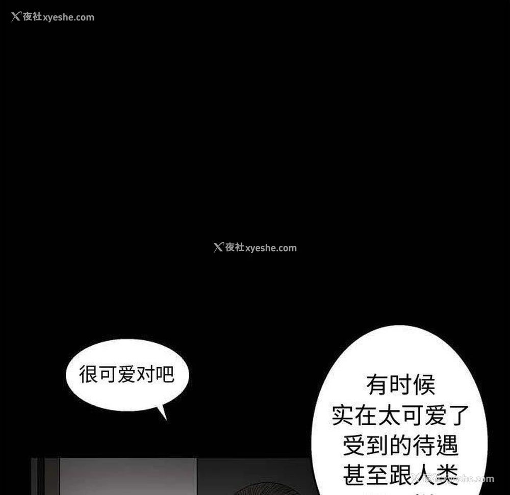 29P - 完美人偶