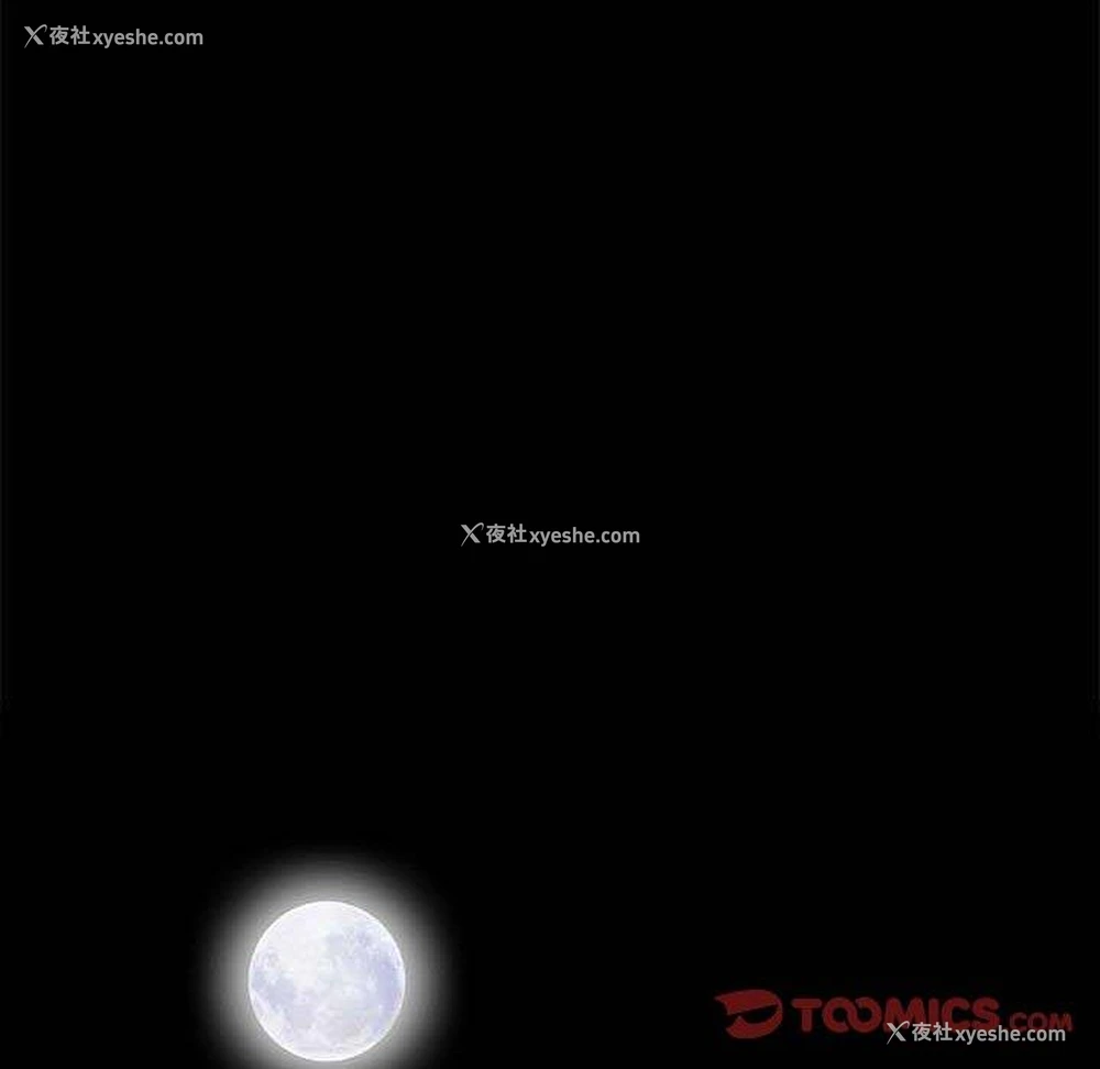 74P - 完美人偶