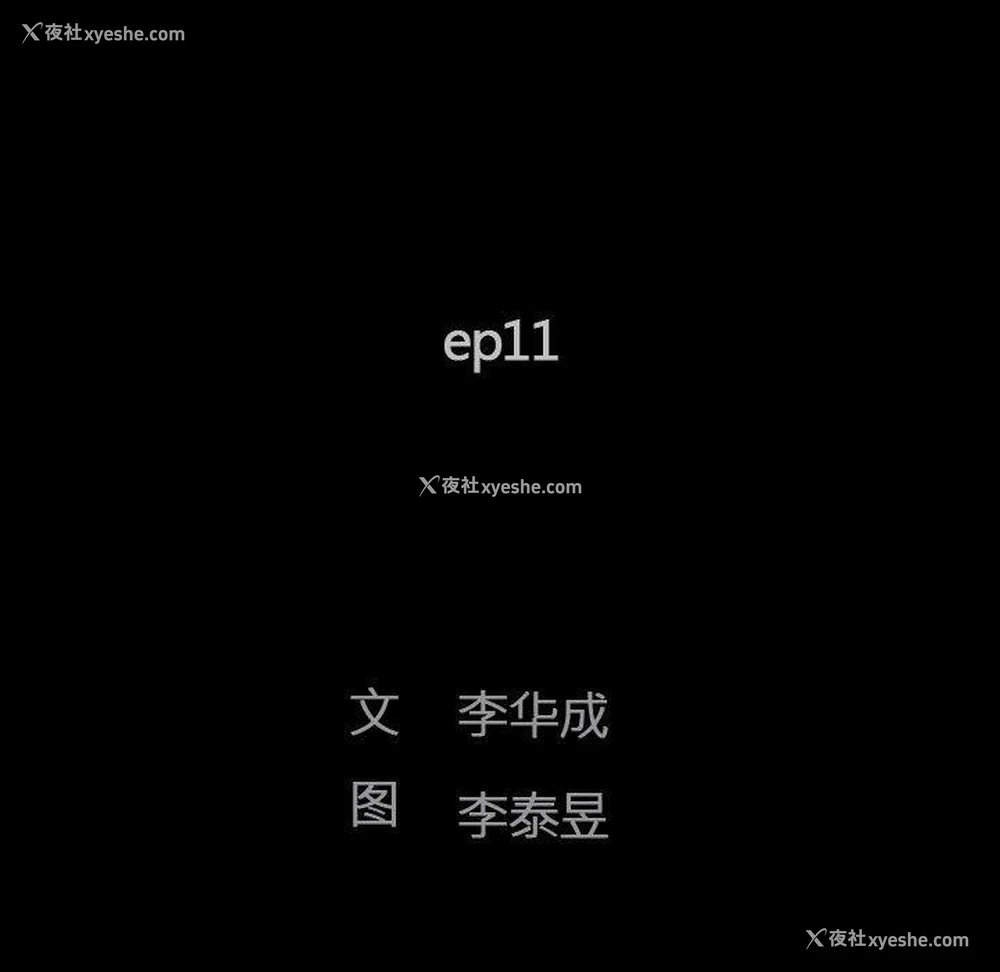 11P - 完美人偶
