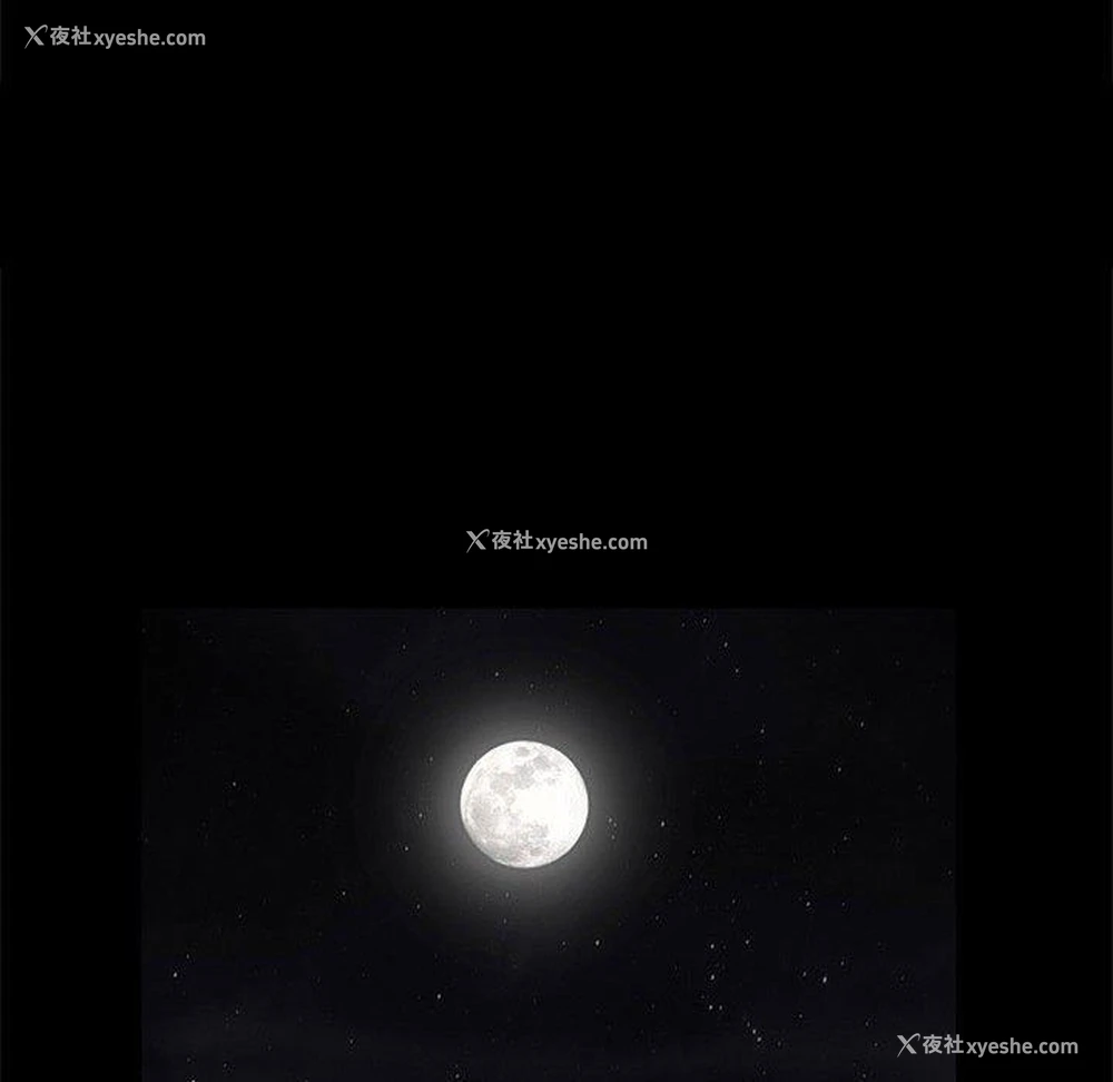 101P - 完美人偶