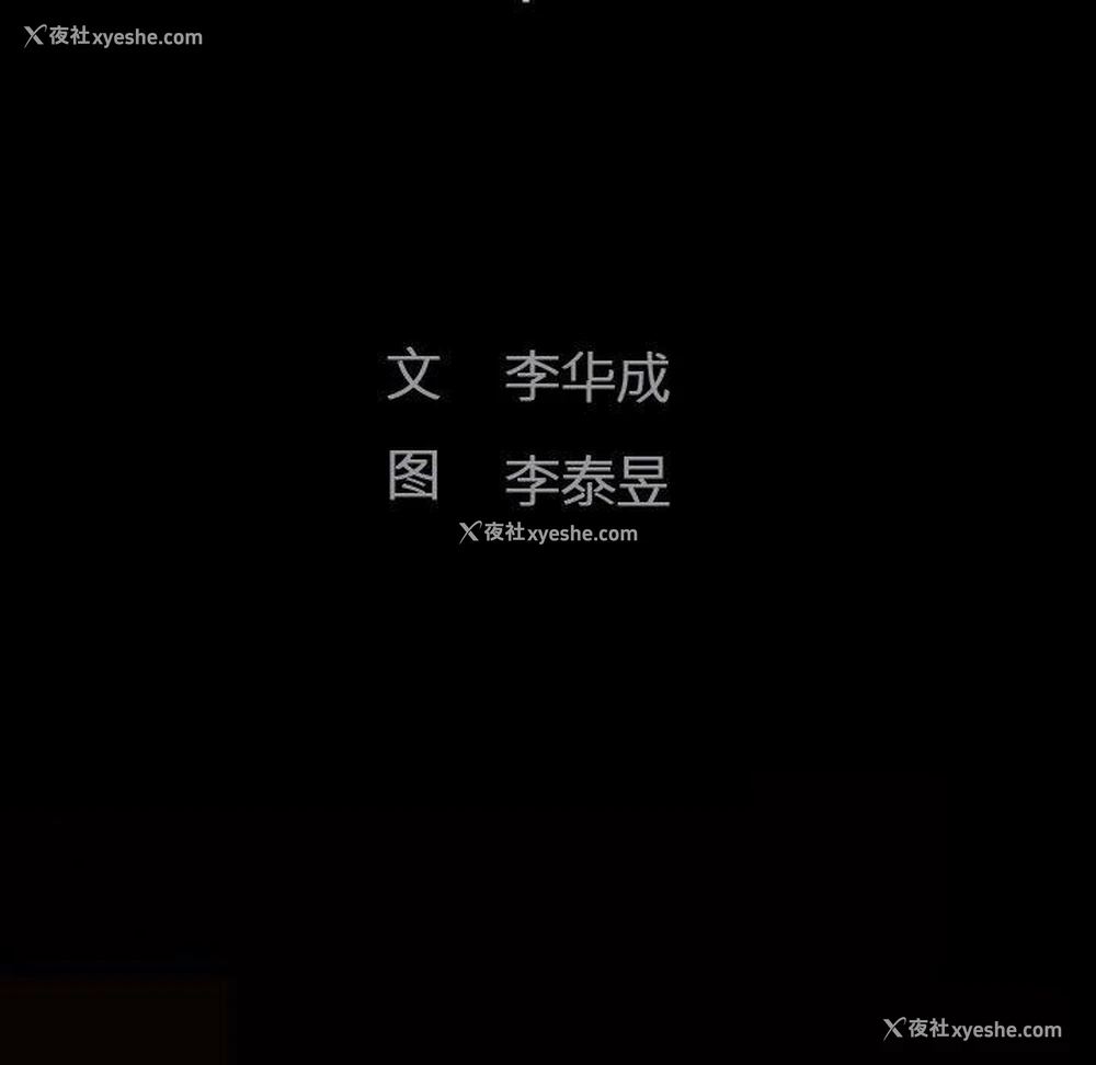 18P - 完美人偶