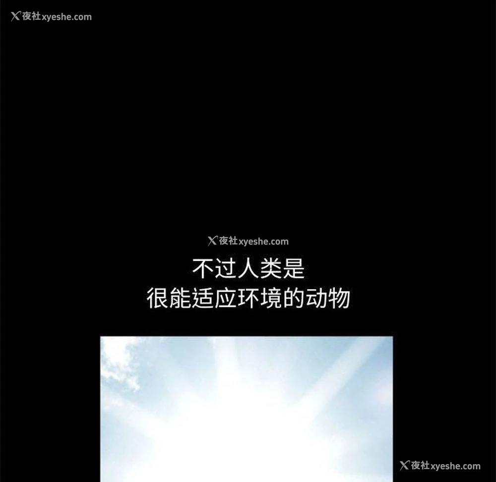61P - 完美人偶