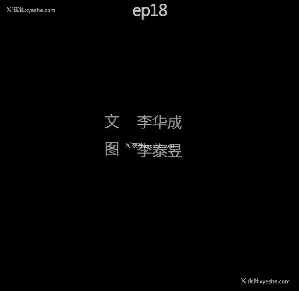 11P - 完美人偶