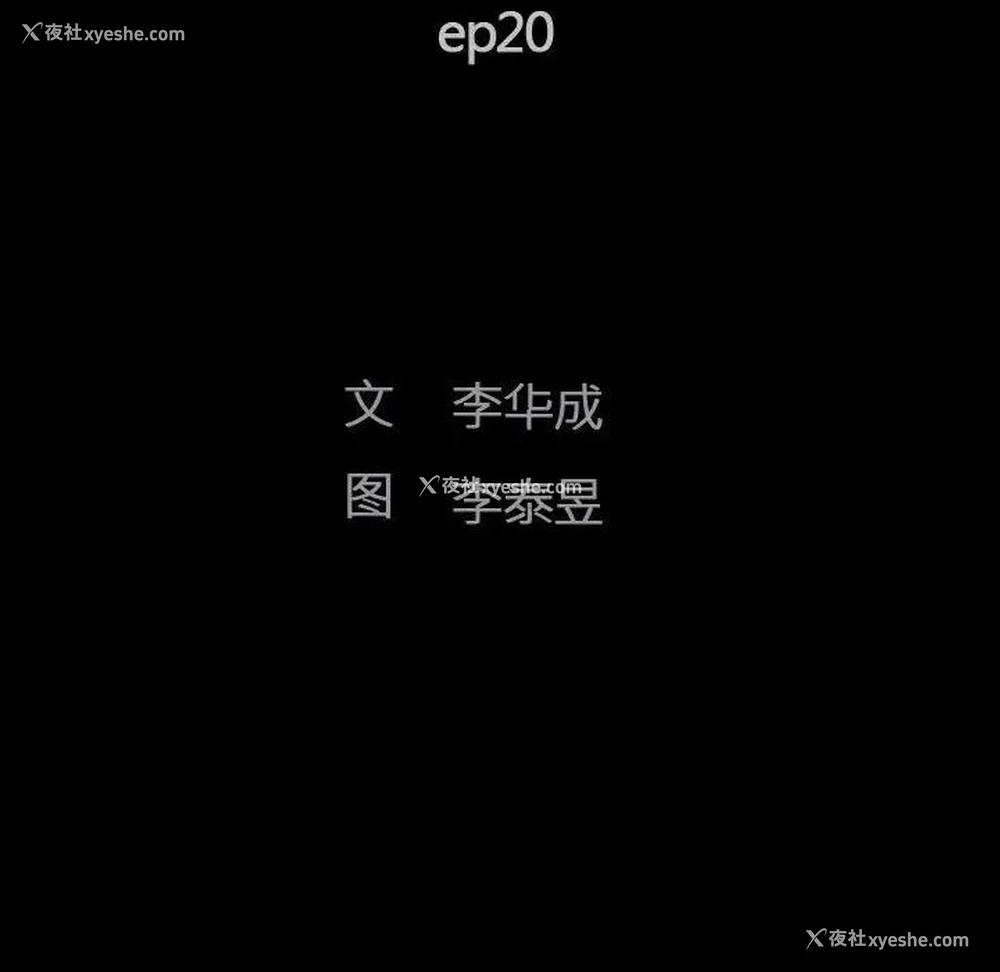 12P - 完美人偶