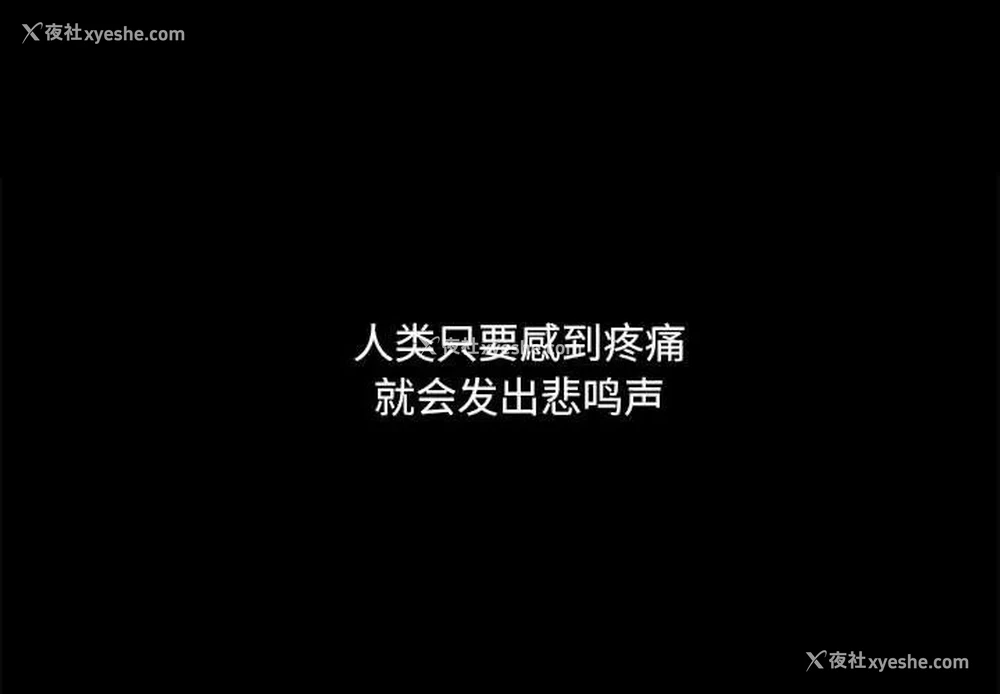 1P - 完美人偶