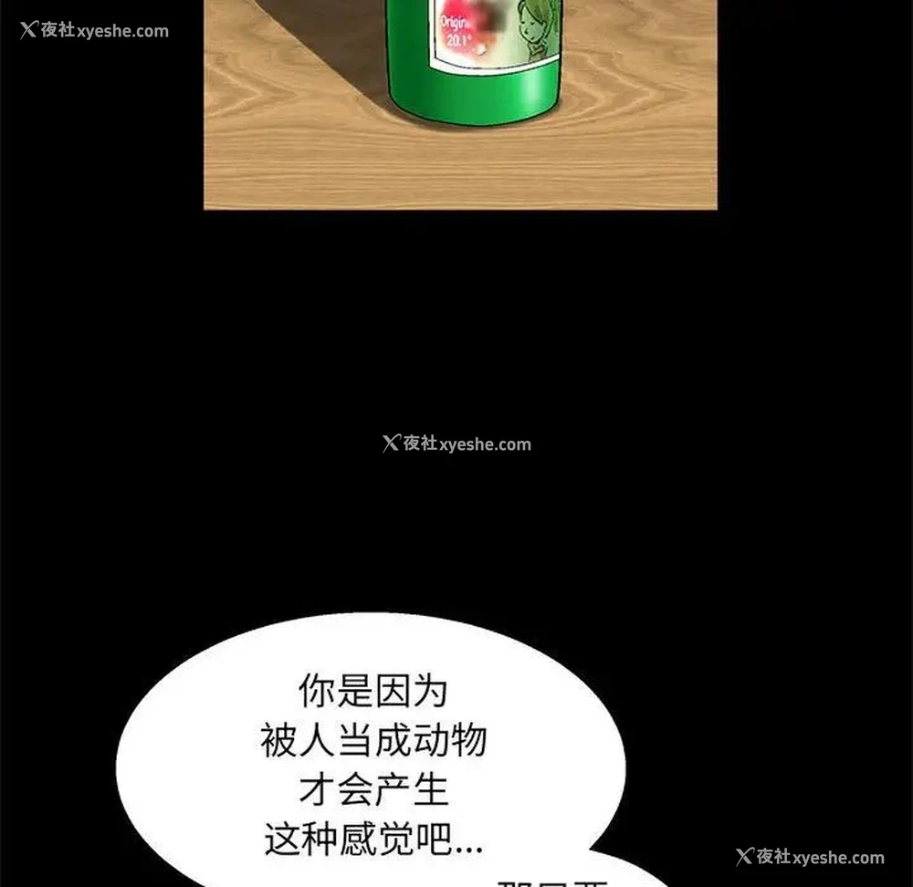 45P - 完美人偶