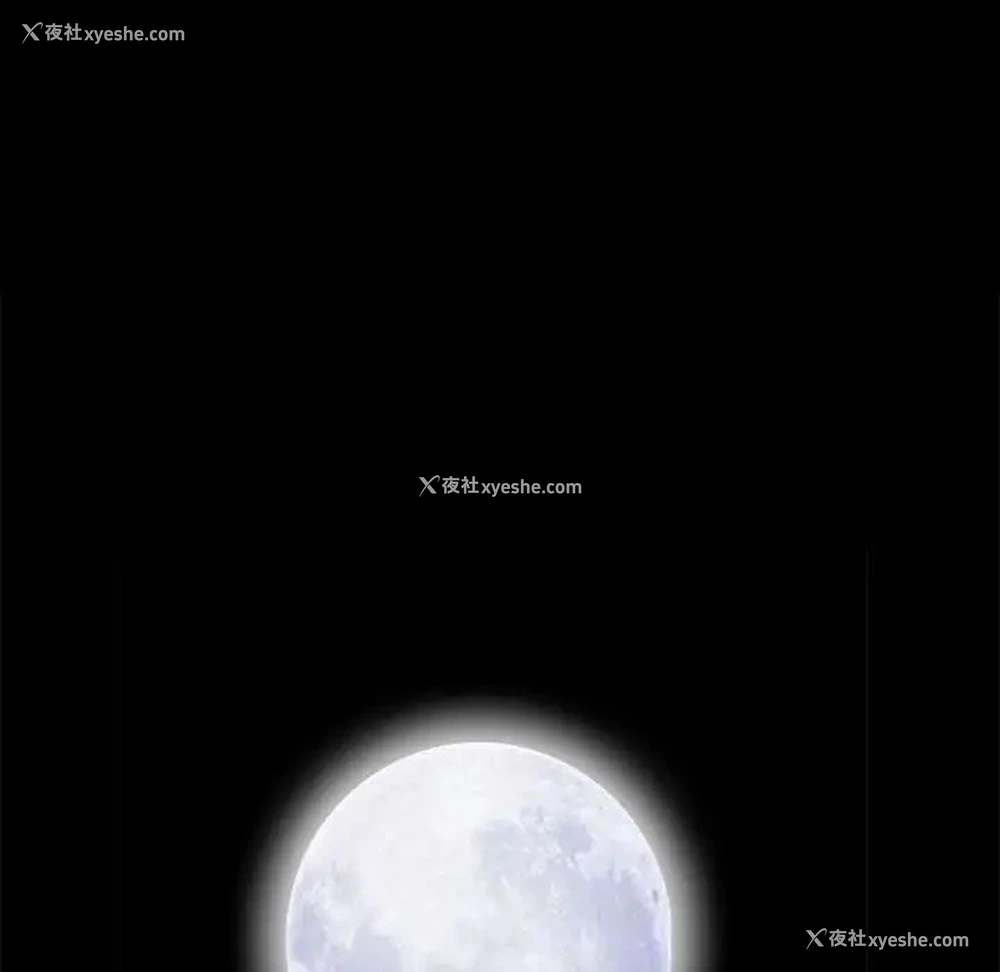 82P - 完美人偶