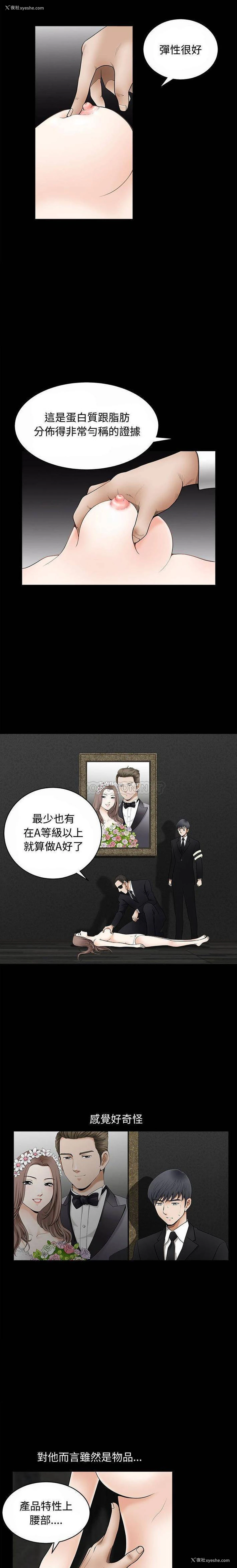 5P - 完美人偶